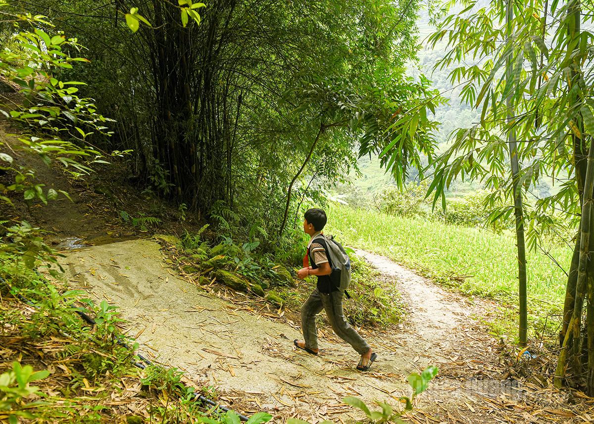 Đôi chân em quen dần những dốc núi quanh co, băng qua mấy thửa ruộng bậc thang để kịp giờ đến lớp.
