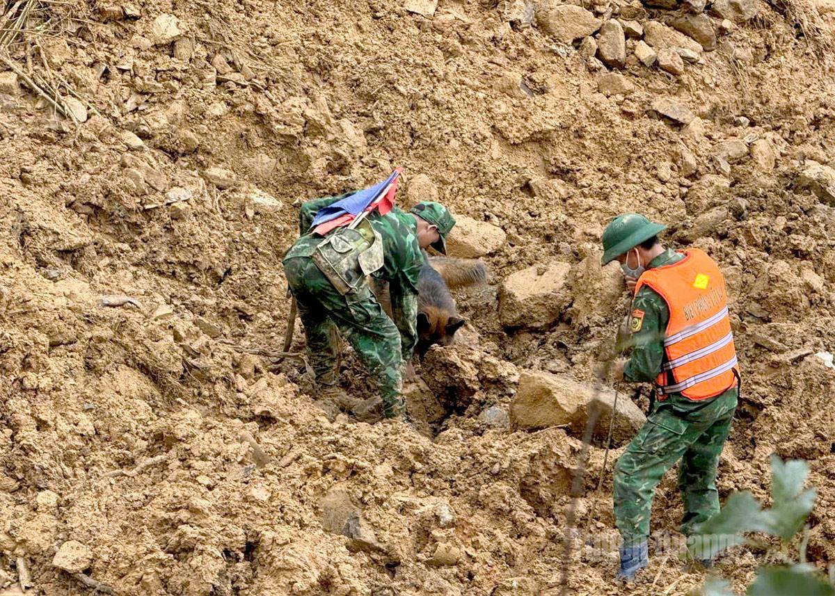 Sáng ngày 3-10, chiến sĩ đồn Biên phòng Lũng Cú, Ban chỉ huy BĐBP tỉnh sử dụng chó nghiệp vụ tiếp tục tìm các kiếm nạn nhân mất tích tại thôn  Mã Lầu A. Ảnh: Hồng Hà