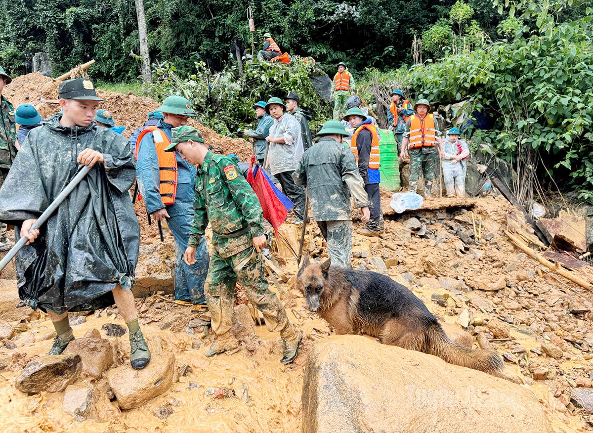 Lực lượng chức năng sử dụng chó nghiệp vụ để tìm kiếm các nạn nhân mất tích tại thôn Má Lầu A, xã Lũng Cú. Ảnh: Diệu Kế
