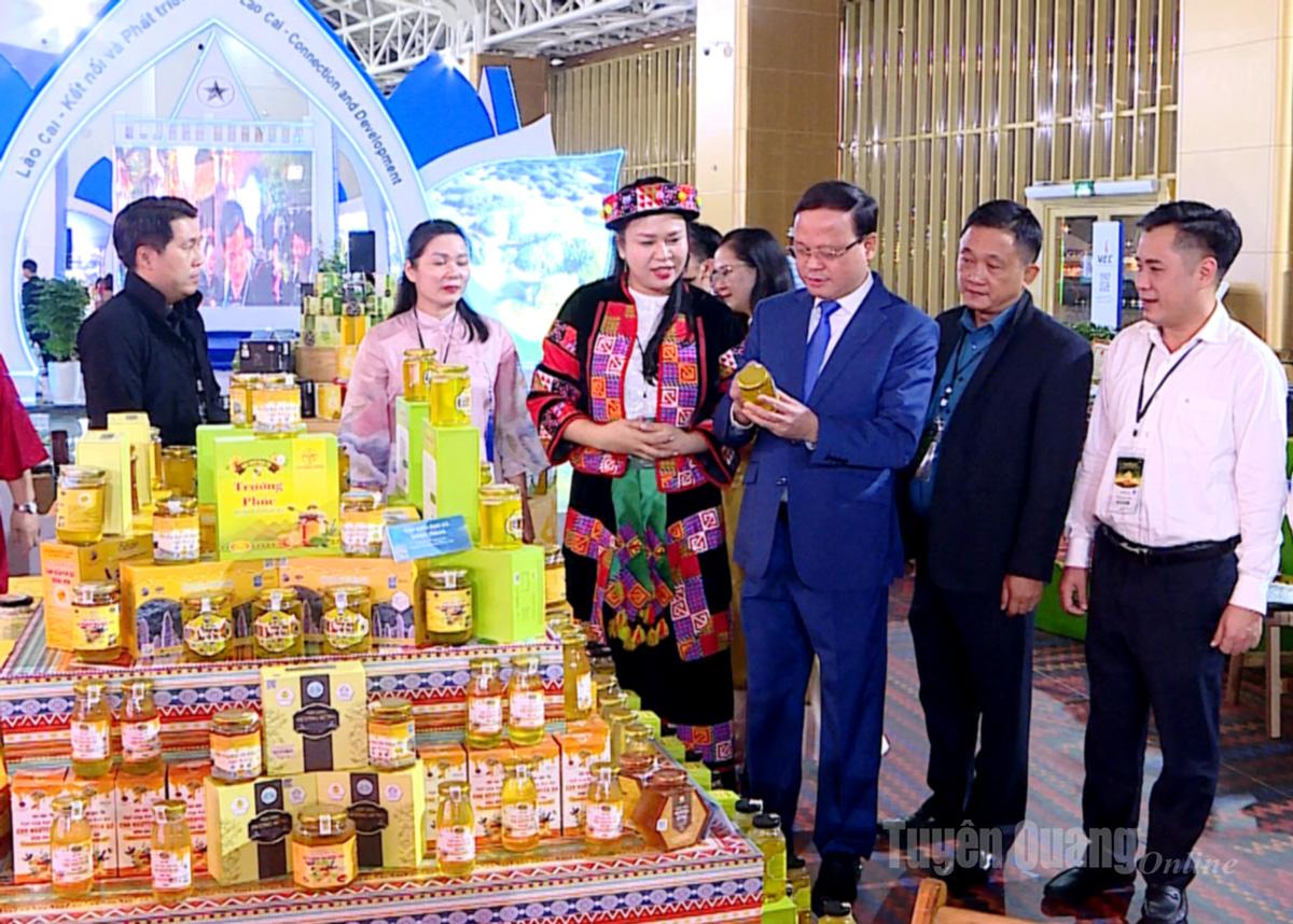 Đồng chí Nguyễn Mạnh Tuấn, Uỷ viên BTV Tỉnh uỷ, Phó Chủ tịch Thường trực UBND tỉnh dự khai mạc Hội chợ Mùa thu 2025.