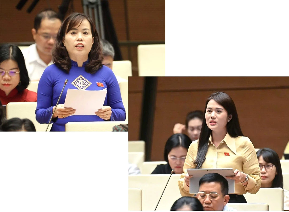 Đại biểu Quốc hội nữ tỉnh Tuyên Quang để lại nhiều dấu ấn trên nghị trường.