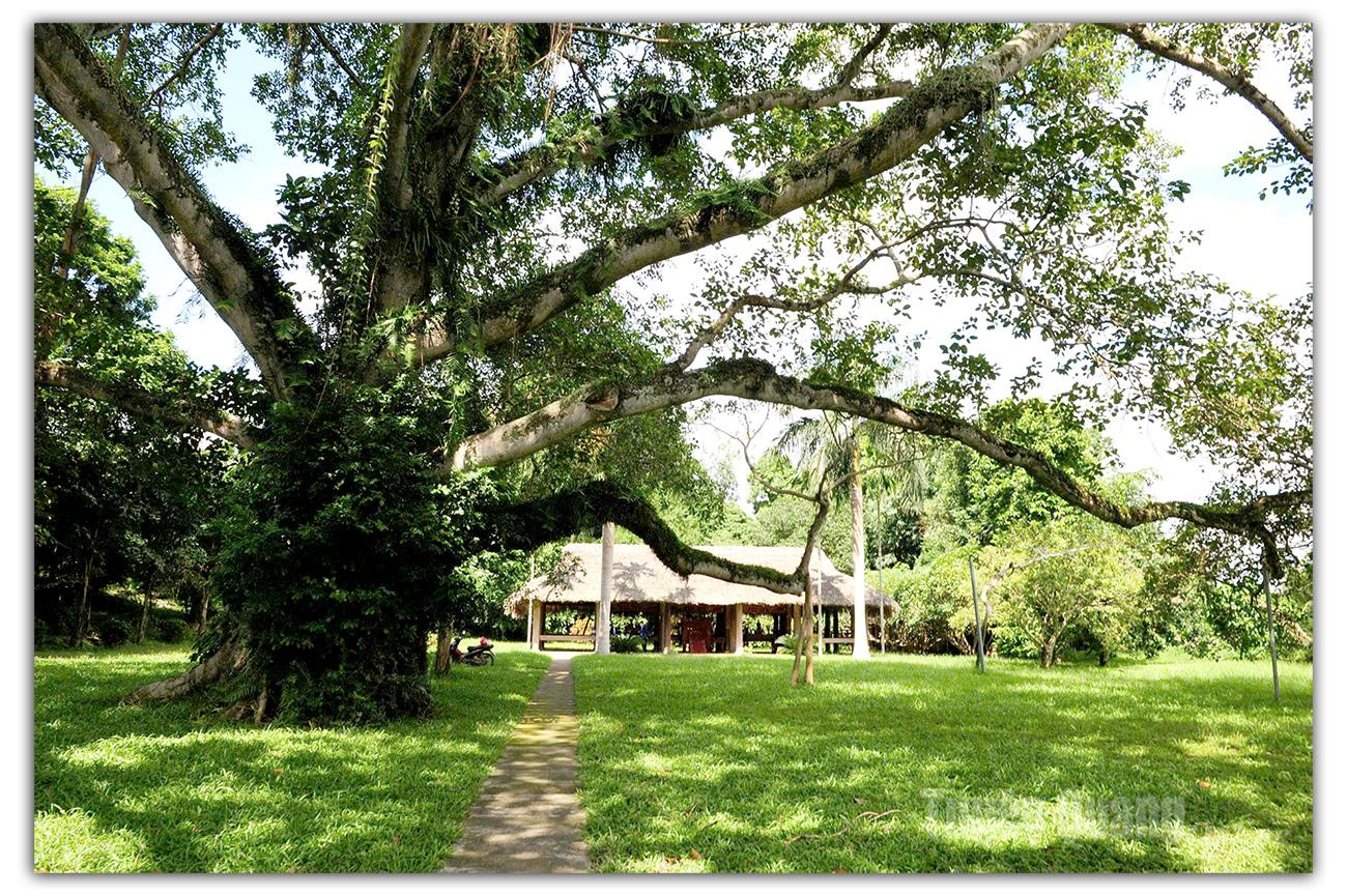 Đình Hồng Thái - nơi Chủ tịch Hồ Chí Minh dừng chân đầu tiên khi trở về từ Pác Bó (1945).