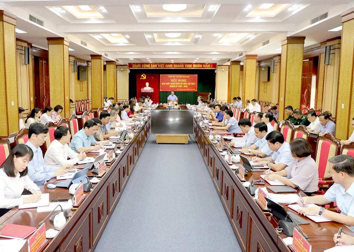 Hội nghị Ban Chấp hành Đảng bộ tỉnh lần thứ I