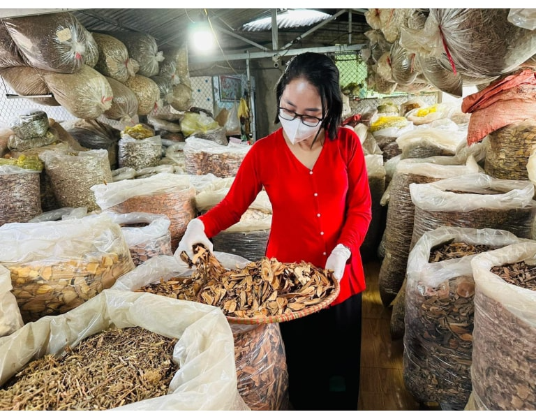 Các bài thuốc gia truyền có thành phần hoàn toàn từ thảo dược thiên nhiên