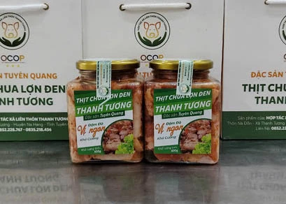 Thanh Tuong fermented meat