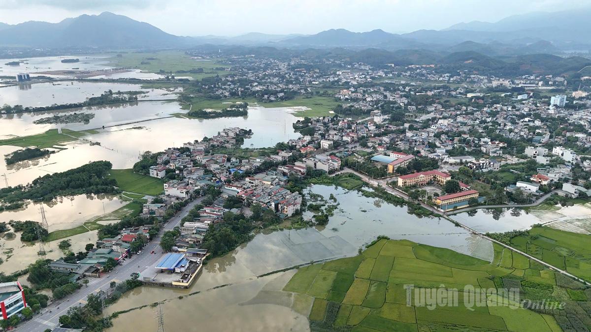 Nước lên gây ngập nhiều cánh đồng ở phường Minh Xuân. Ảnh: Mạnh Tùng