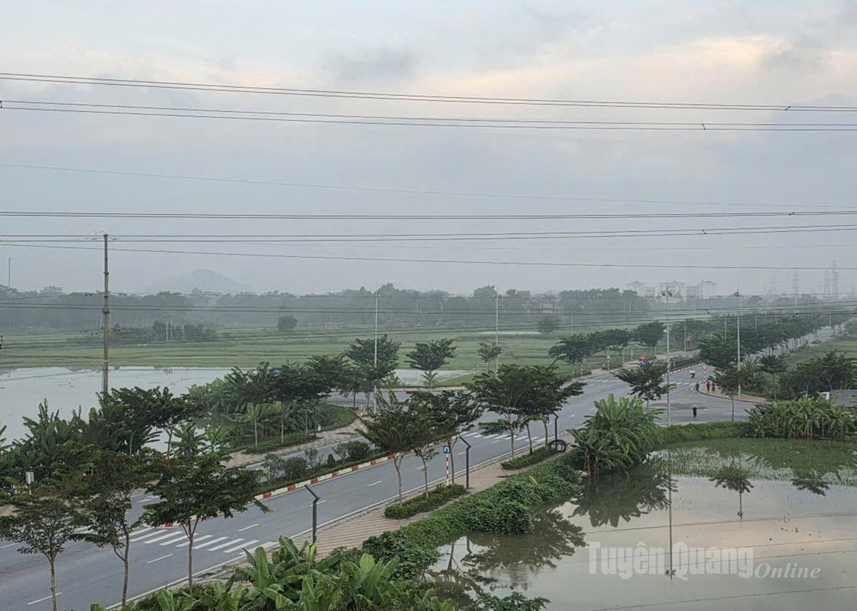Đường Quang Trung hướng đi Bệnh viện Đa khoa Phương Bắc nhìn từ trên cao. Ảnh: Huy Hoàng