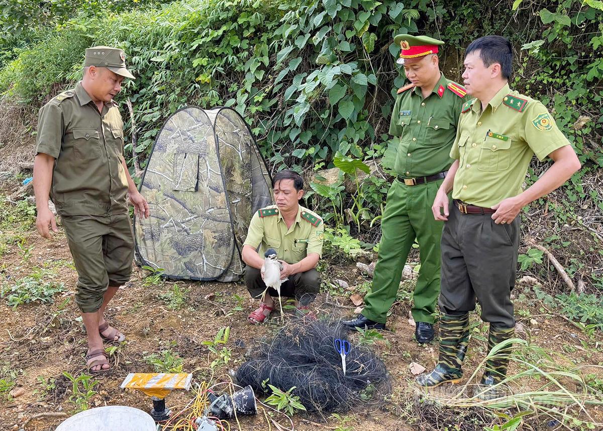 Hạt Kiểm lâm khu vực III phối hợp cùng Công an xã Hàm Yên kiểm tra ngăn chặn việc bẫy chim trái phép, giải cứu chim bị bẫy bắt.