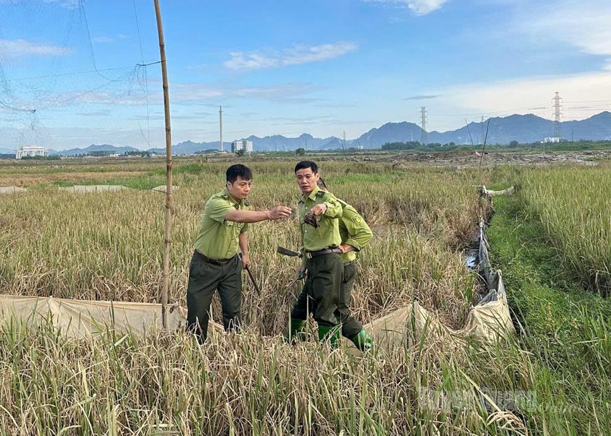 ạt Kiểm lâm khu vực II phối hợp ngăn chặn tình trạng bẫy bắt các loài chim hoang dã trái phép.