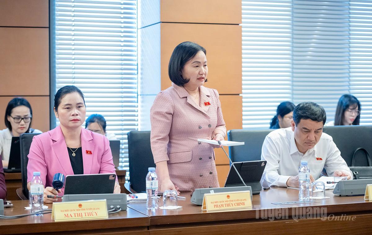 Đại biểu Phạm Thúy Chinh góp ý tại tổ.