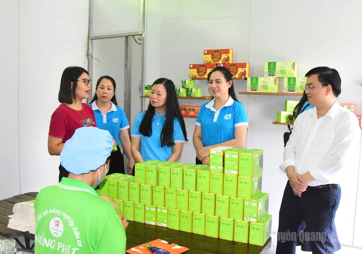 Lãnh đạo Trung ương Hội LHPN Việt Nam và Hội LHPN tỉnh tham quan mô hình HTX Nông nghiệp hữu cơ Hồng Phát, xã Kim Bình.