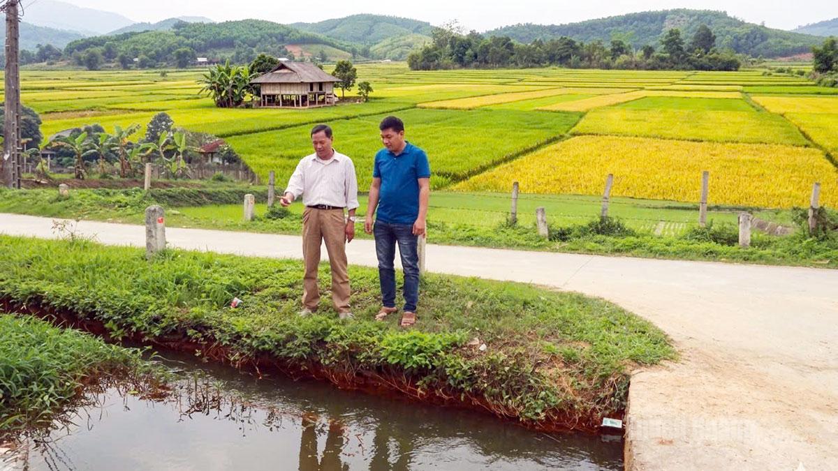 Cán bộ Đội quản lý khai thác công trình thủy lợi khu vực 1 kiểm tra hiệu quả tưới tiêu của hồ thủy lợi Ngòi Là, xã Yên Sơn.
