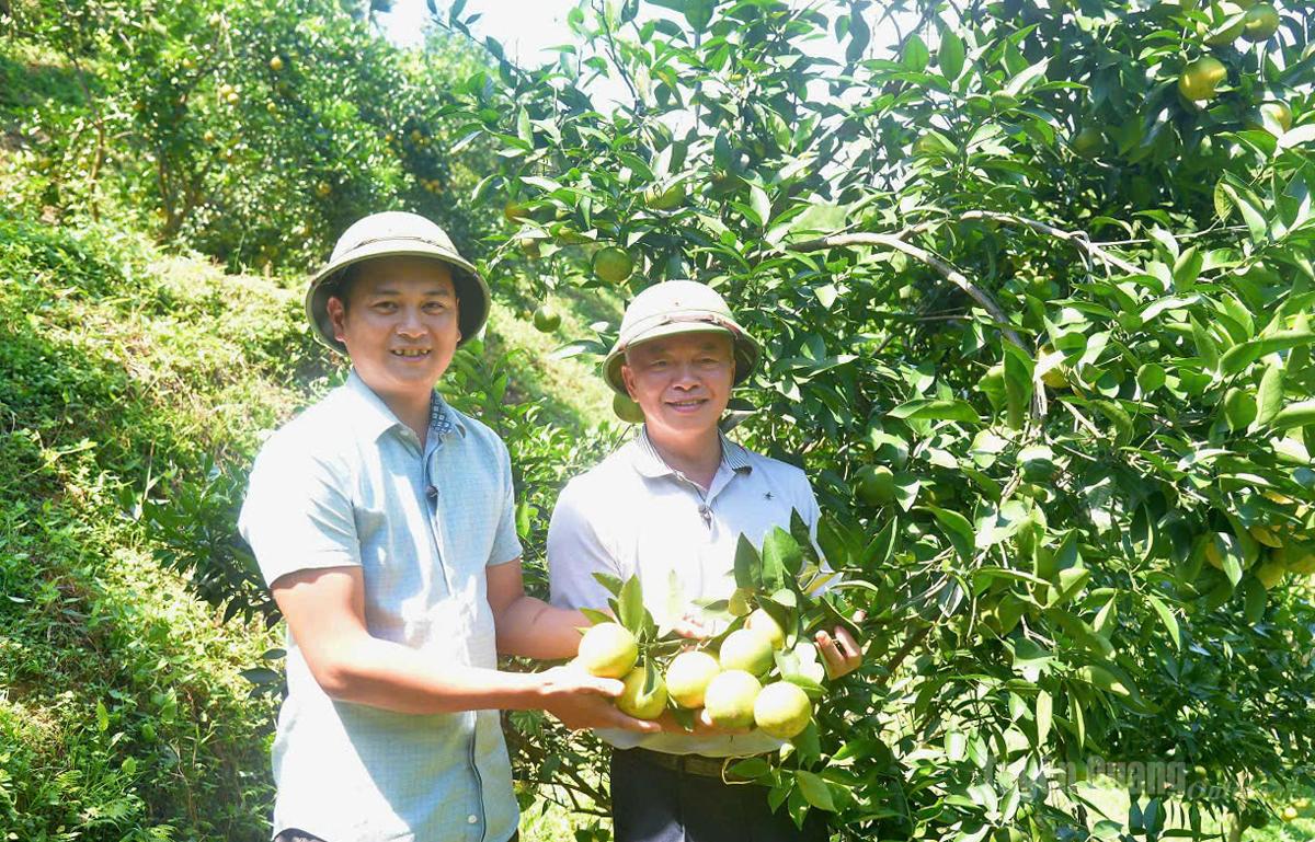 Nhờ sự đồng hành,
lan tỏa của đồng chí
Phạm Hồng Thanh,
Bí thư Đảng ủy, Chủ tịch HĐND xã Đồng Yên (bên phải) sản phẩm cam Vàng đặc trưng được nhiều người biết đến.
