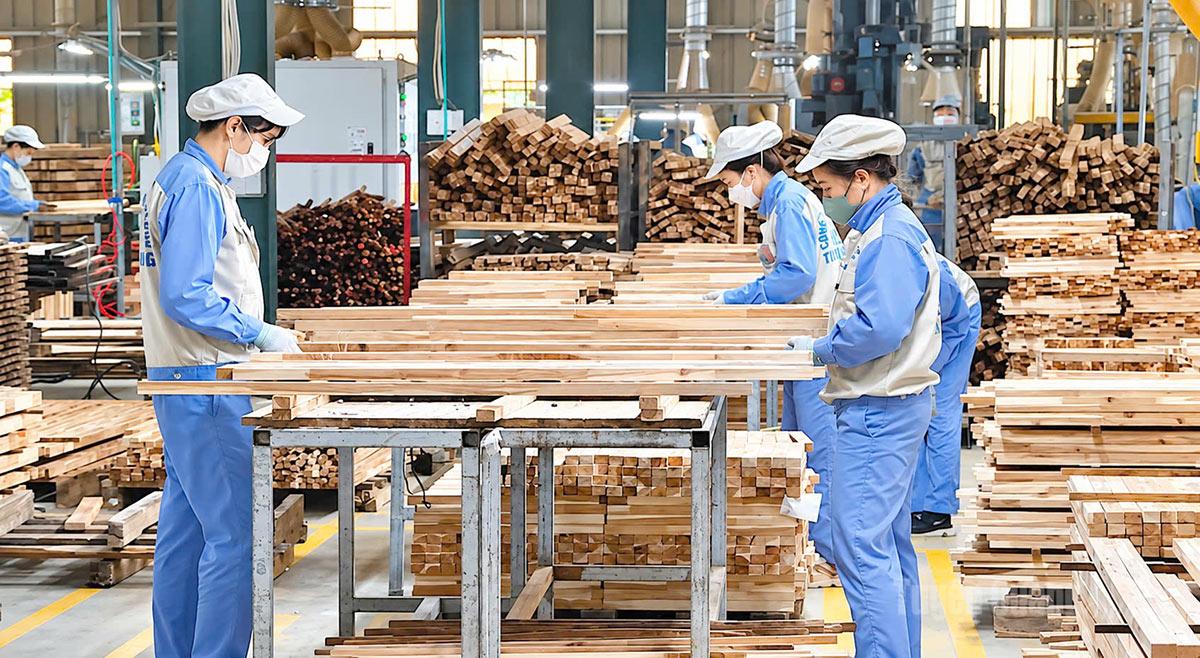 Công nhân Công ty cổ phần Woodsland Tuyên Quang kiểm tra, hoàn thiện sản phẩm gỗ phục vụ thị trường trong nước và xuất khẩu.
