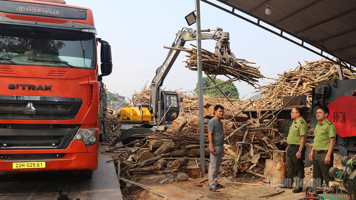 Cán bộ Kiểm lâm khu vực II kiểm tra hoạt động chế biến gỗ tại Công ty TNHH kinh doanh và sản xuất Tú Anh, thôn Tứ Quận, xã Yên Sơn.