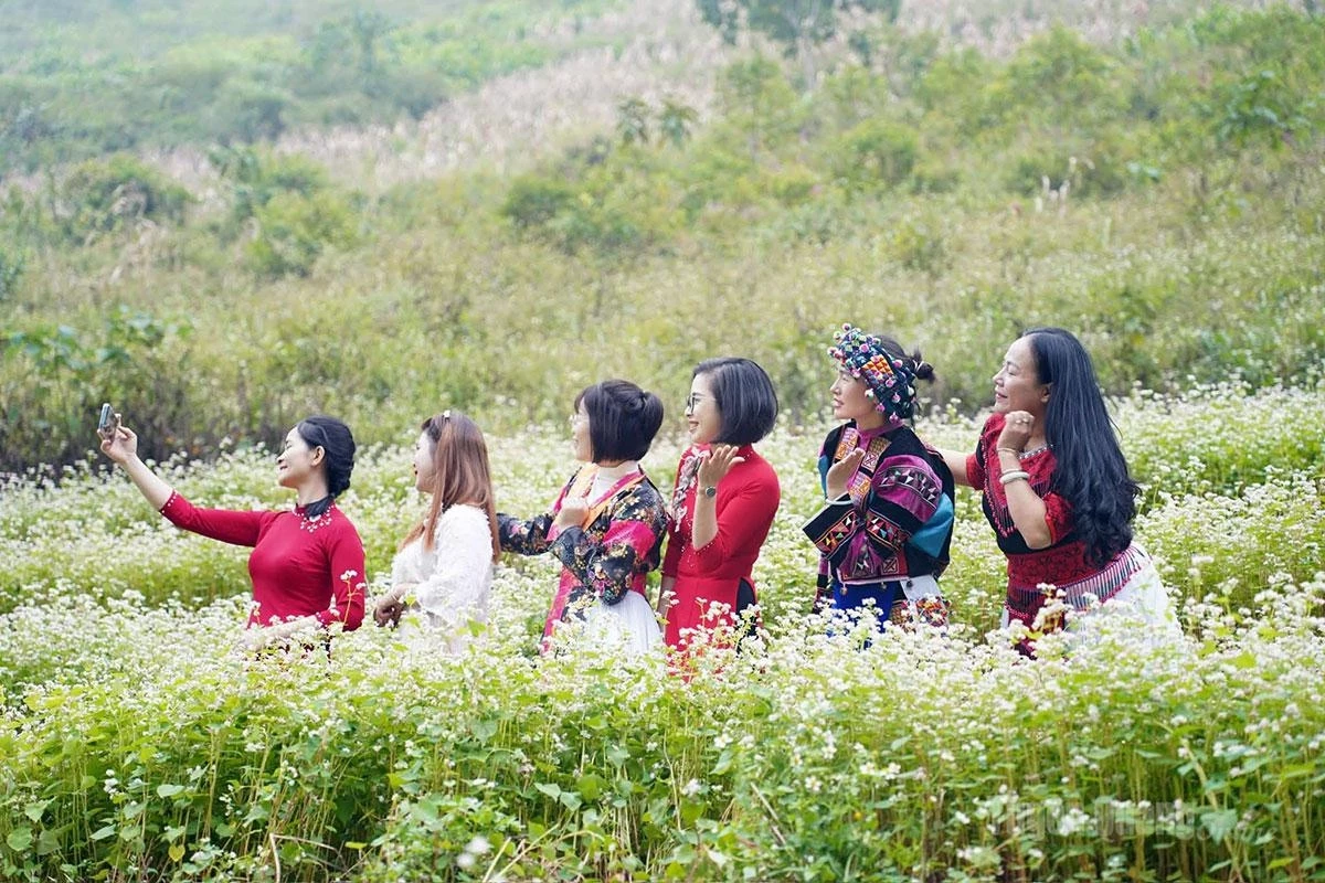 Visitors capture beautiful moments among the gentle buckwheat blossoms.