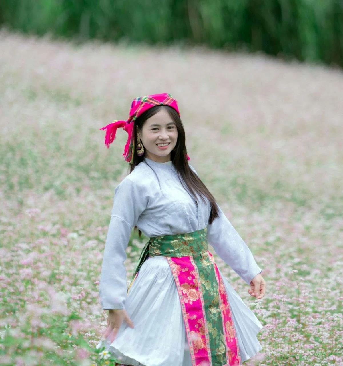 A Mong ethnic girl stands out amid the vibrant buckwheat flowers.