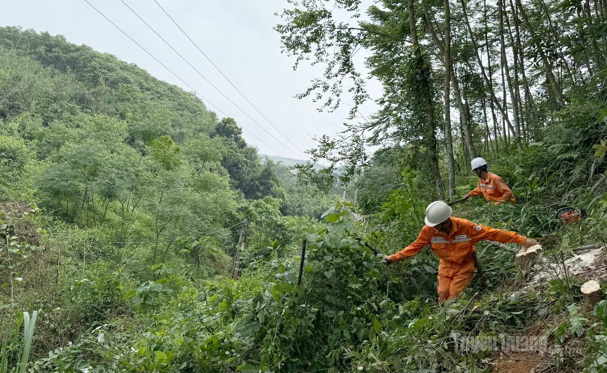 Nhân viên Điện lực Chiêm Hóa phát dọn hành lang tuyến, đảm bảo an toàn hành lang lưới điện.