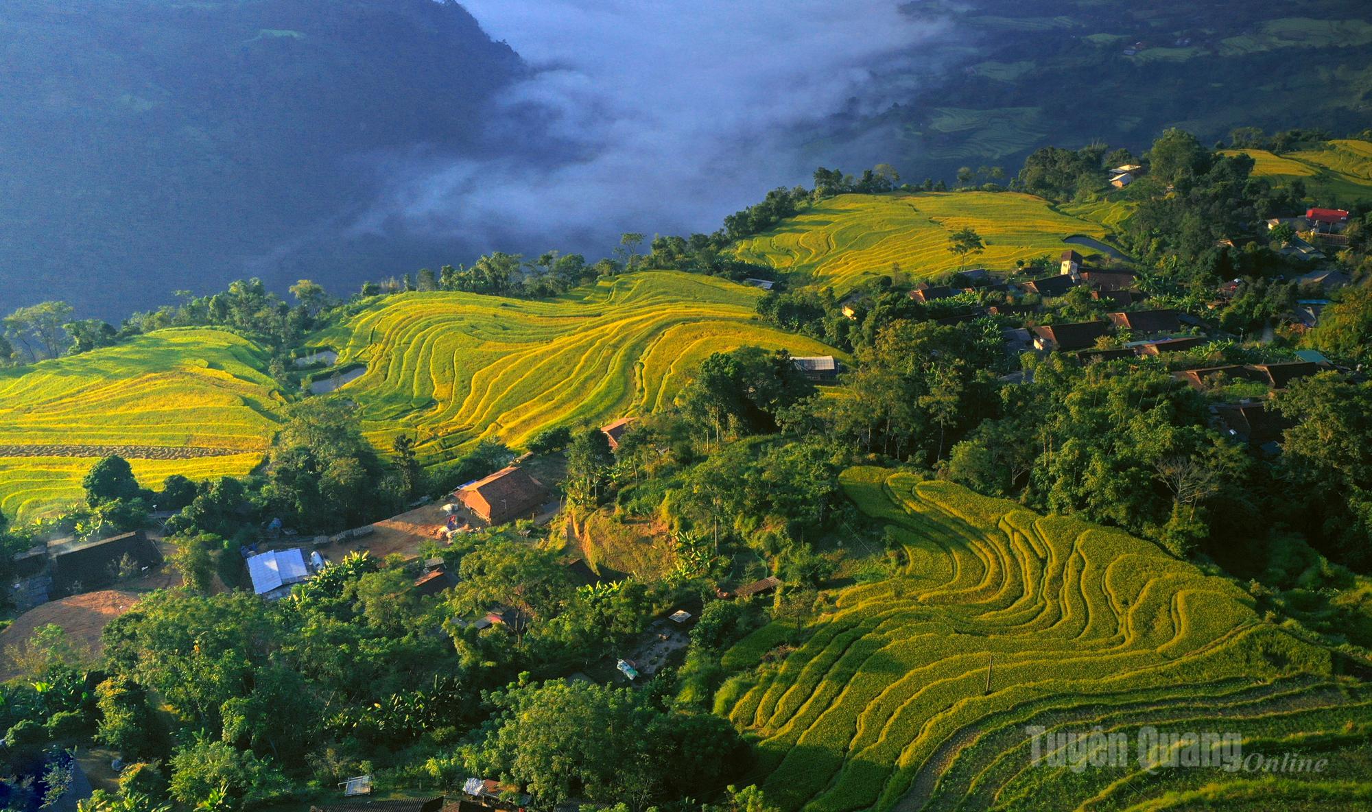 Buổi sớm ở Hồng Thái