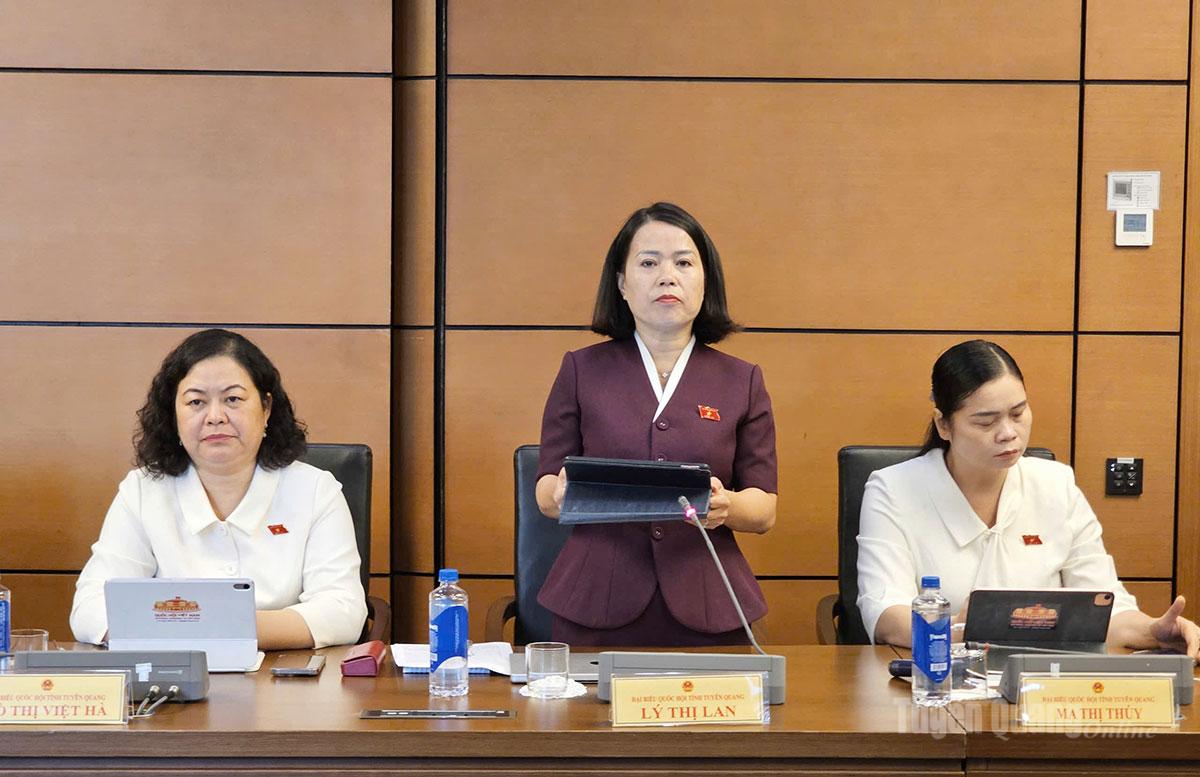 ĐBQH Lý Thị Lan phát biểu ý kiến.