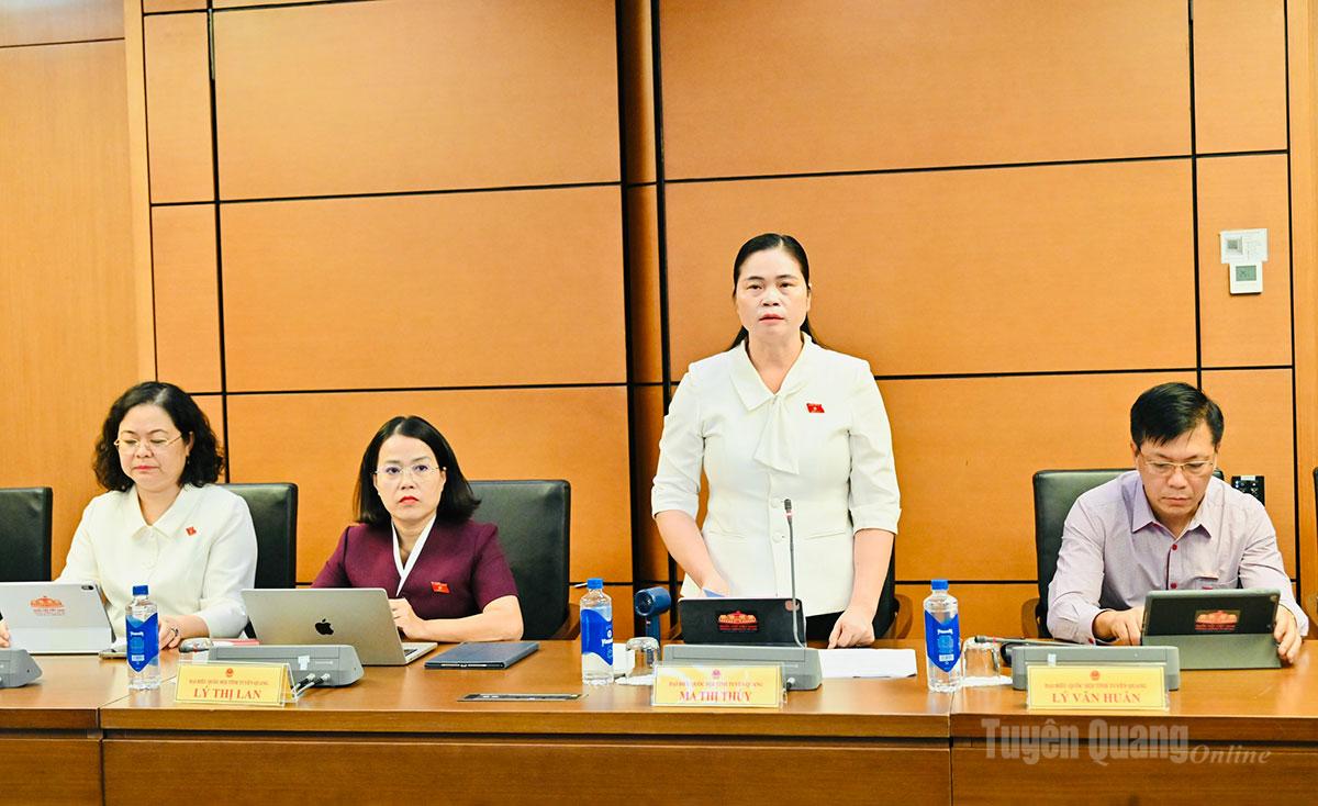 ĐBQH Ma Thị Thúy phát biểu thảo luận.