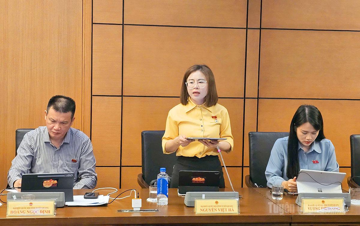 ĐBQH Nguyễn Việt Hà phát biểu ý kiến.