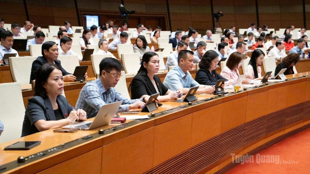 Đoàn đại biểu Quốc hội tỉnh Tuyên Quang khóa XVI, nhiệm kỳ 2026-2031 tham dự phiên thảo luận.