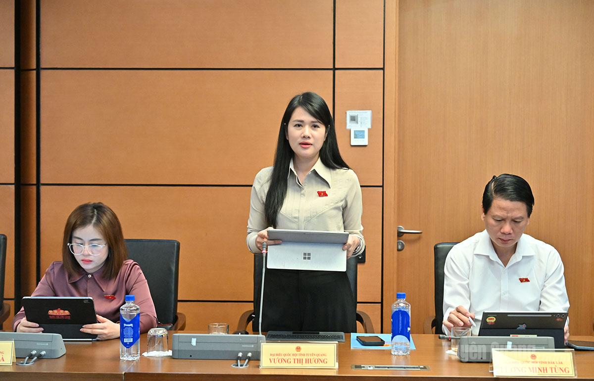 ĐBQH Vương Thị Hương phát biểu.