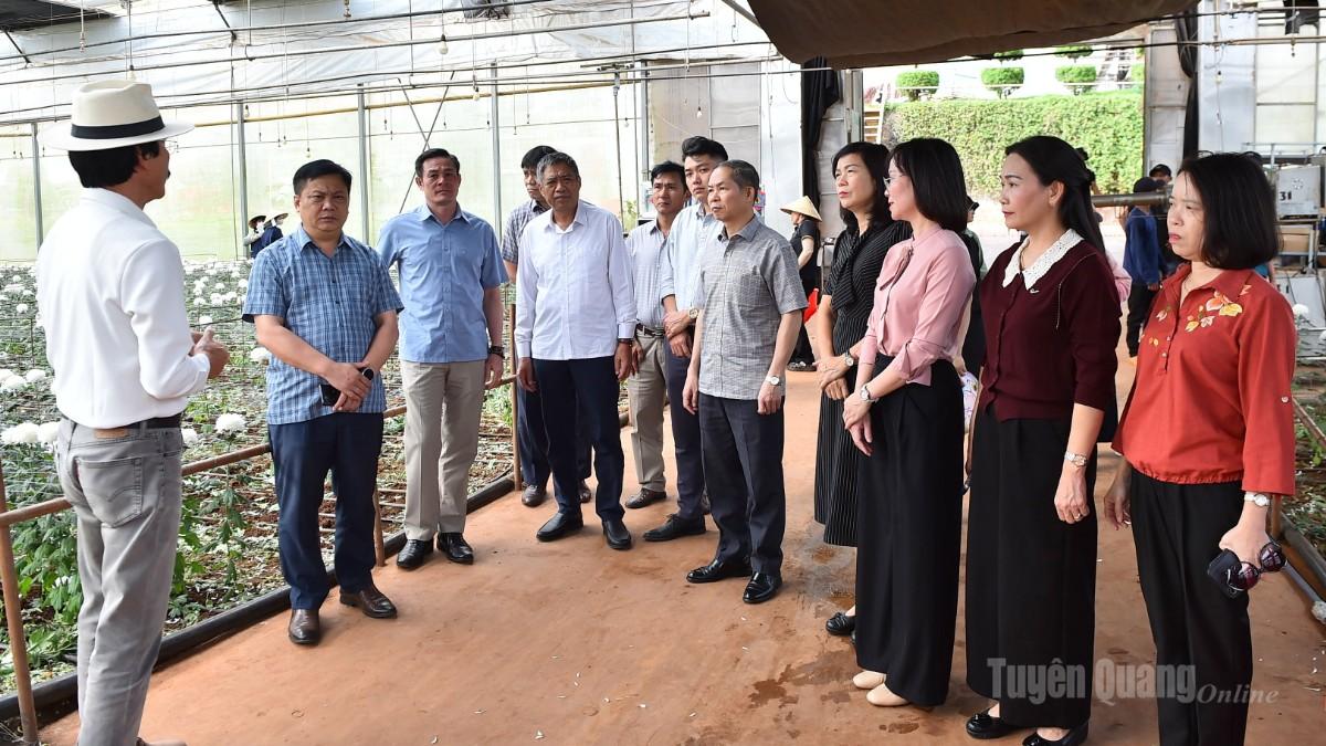 Các thành viên đoàn công tác Ban Thương vụ Tỉnh ủy thăm mô hình trồng hoa công nghệ cao Công ty TNHH Dalat Hasfarm.