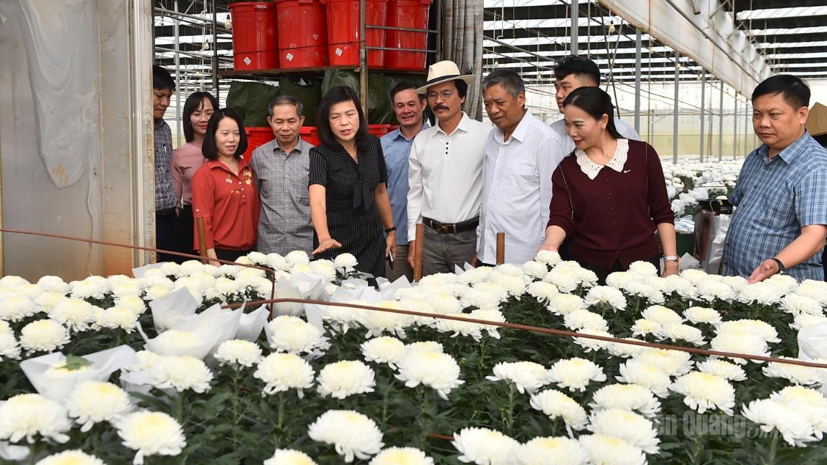 Đoàn tìn hiểu kỹ thuật trồng hoa.