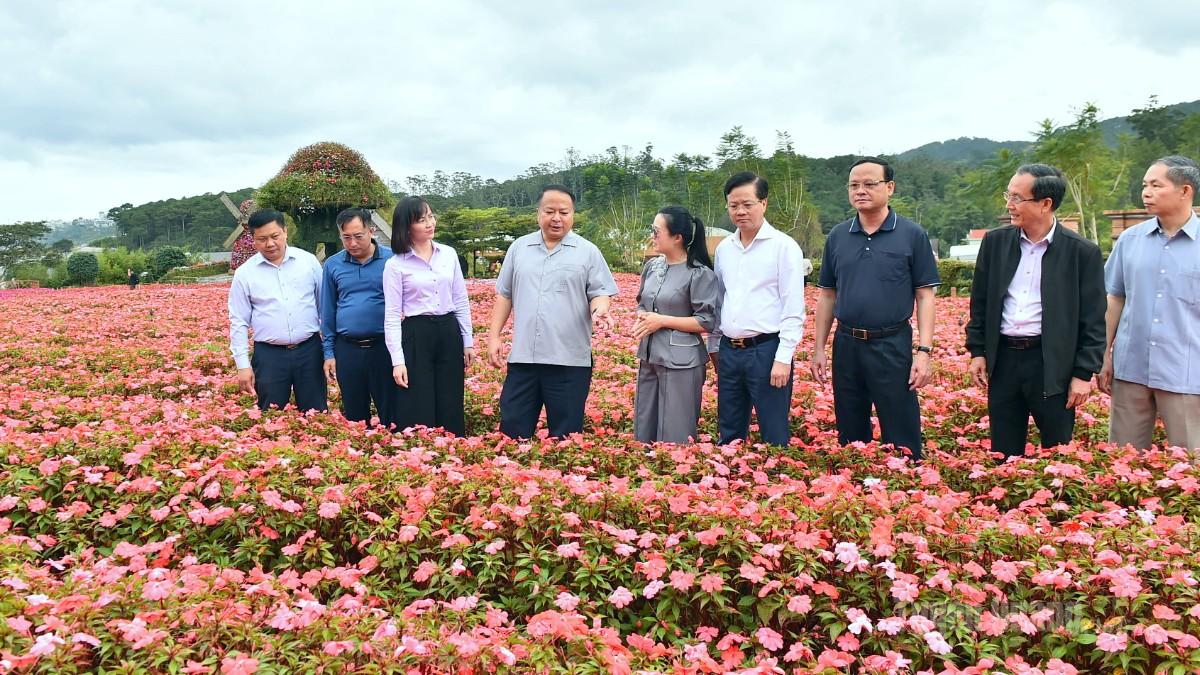 Chủ tịch UBND tỉnh Phan Huy Ngọc và Đoàn công tác tìm hiểu mô hình trồng hoa phục vụ khách du lịch tại Khu du lịch Fresh Garden Đà Lạt.