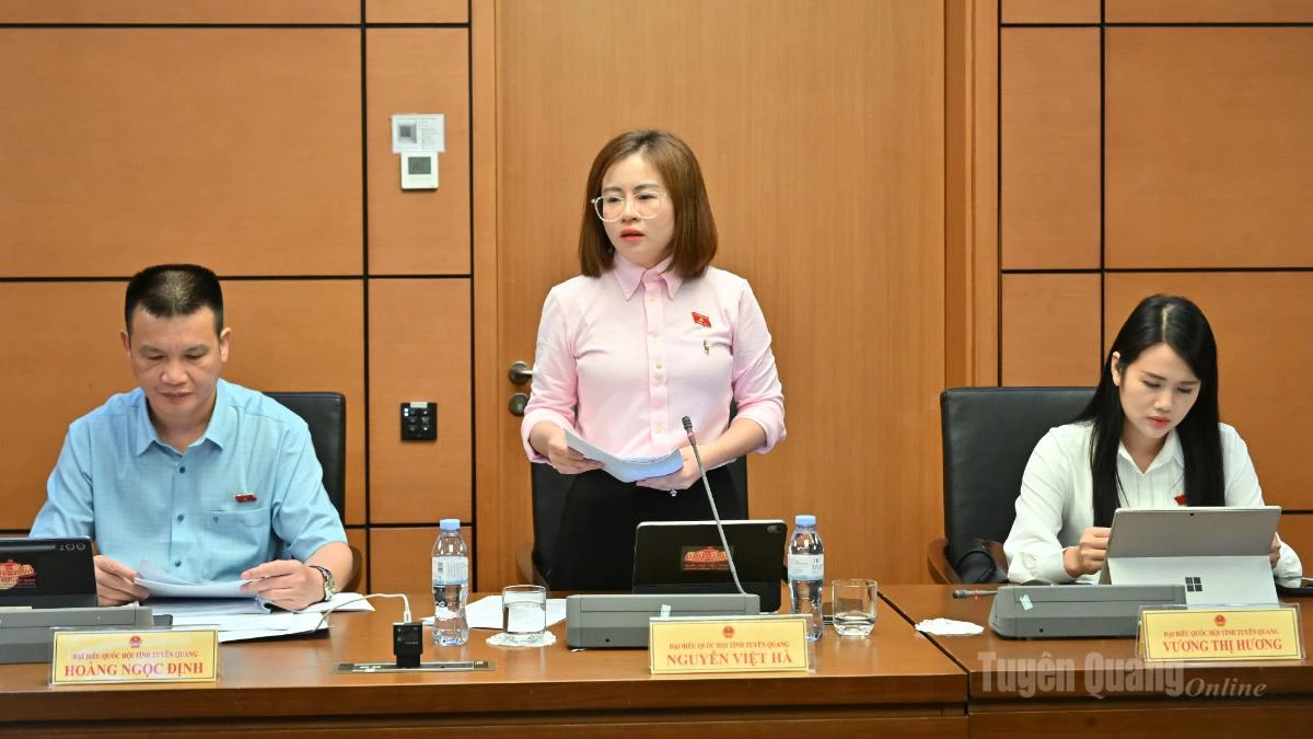 Đại biểu Nguyễn Việt Hà phát biểu thảo luận tại phiên họp Tổ.
