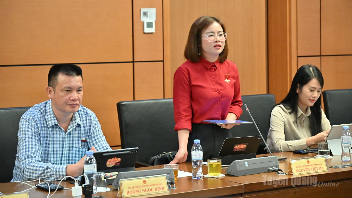 Đại biểu Quốc hội Nguyễn Việt Hà thảo luận.