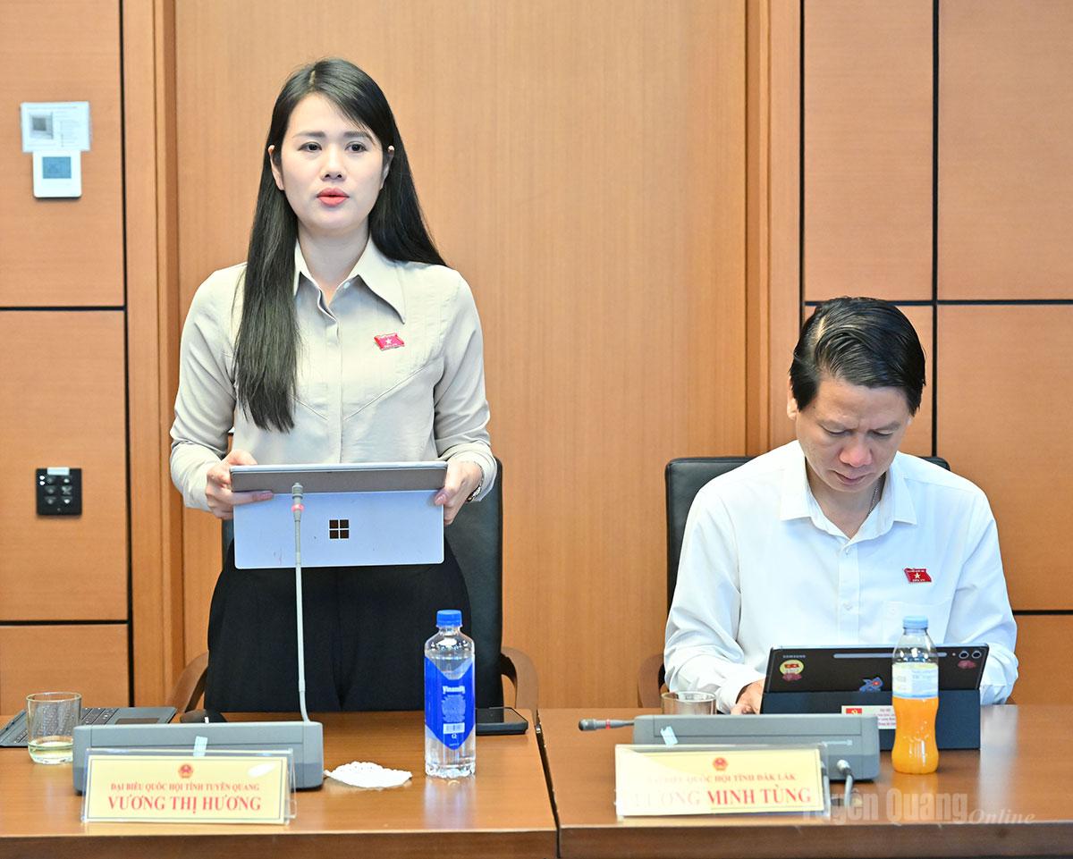 ĐBQH Vương Thị Hương phát biểu dự án Luật sửa đổi, bổ sung một số điều của Luật Bảo vệ môi trường.