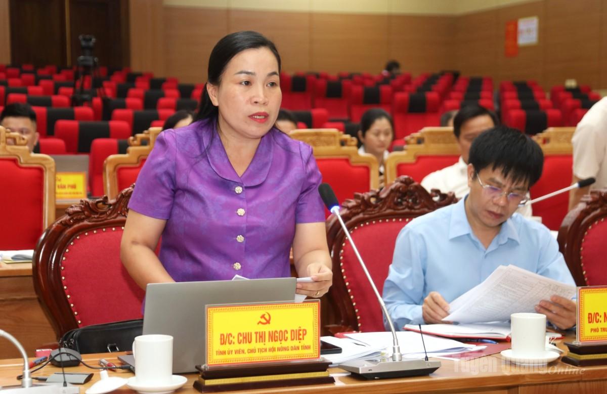Đồng chí Chu Thị Ngọc Diệp, Uỷ viên BCH Đảng bộ tỉnh, Chủ tịch Hội Nông dân tỉnh phát biểu tại buổi làm việc.