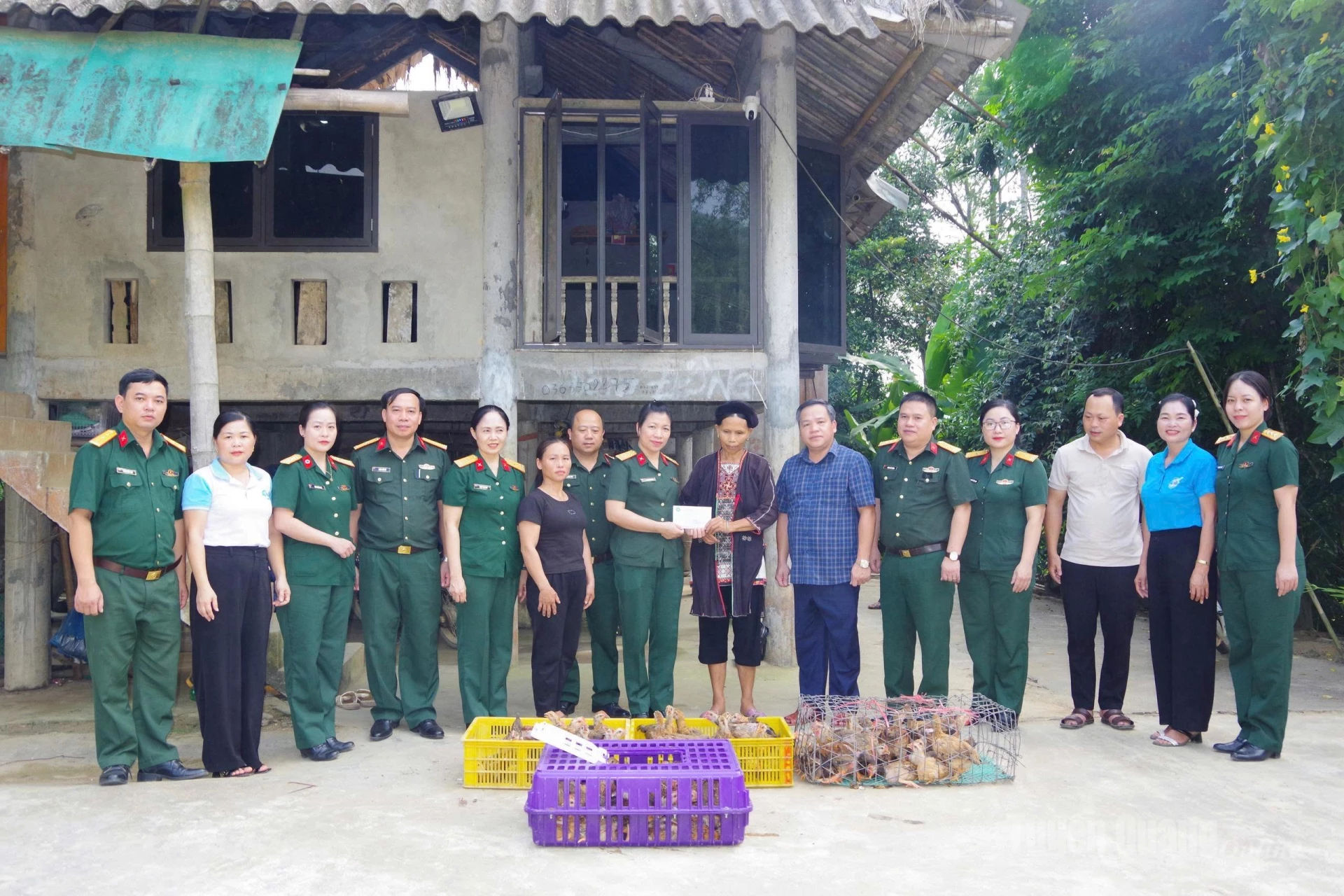 Hội Phụ nữ Bộ CHQS tỉnh tặng gà giống cho hội viên có hoàn cảnh khó khăn.