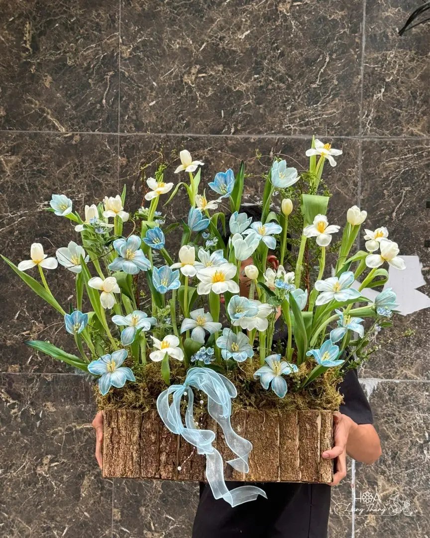Lẵng hoa tulip mix trắng xanh nhạt gỗ – Hoa Lang Thang