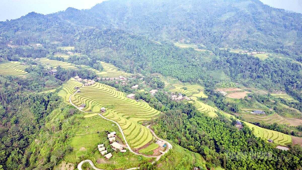 Từ trên cao nhìn xuống, từng lớp ruộng bậc thang nối nhau trải dài, ôm lấy những triền núi, lúc mềm mại như những dải lụa, lúc óng ánh dưới nắng thu.