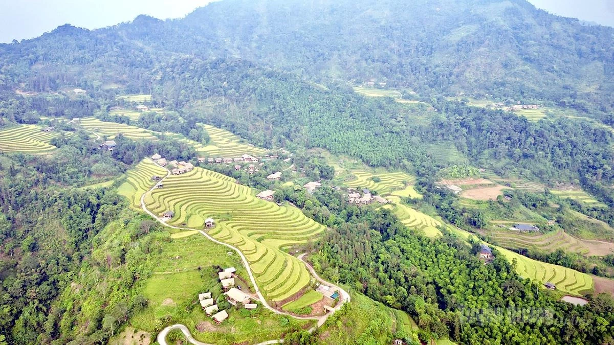 Seen from above, layers of terraced rice fields stretch endlessly along the mountain slopes, at times flowing like soft silk ribbons and at others shimmering in the autumn sunshine.