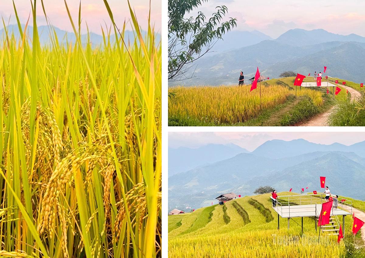 Giữa không gian trong trẻo của núi rừng, du khách thả mình vào những khoảnh khắc bình yên, lưu giữ vẻ đẹp thơ mộng của Nậm Hồng.