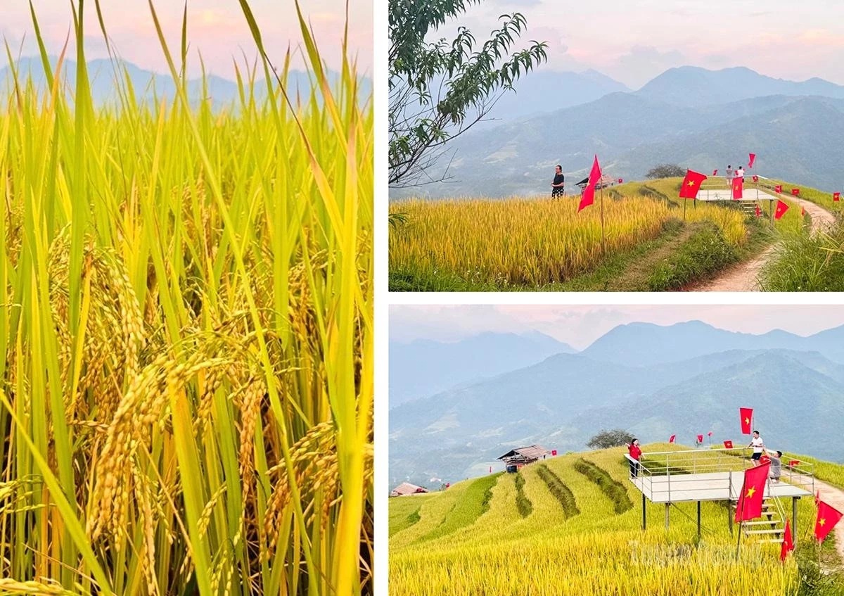 Amid the pristine mountain scenery, visitors can immerse themselves in peaceful moments and capture the poetic beauty of Nam Hong.