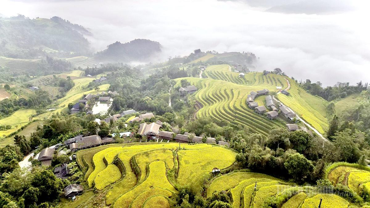 Mùa vàng trải mình giữa sắc xanh núi rừng, những mái nhà thấp thoáng bên thung lũng, tất cả hòa quyện thành một bức tranh Nậm Hồng dịu dàng và quyến rũ.