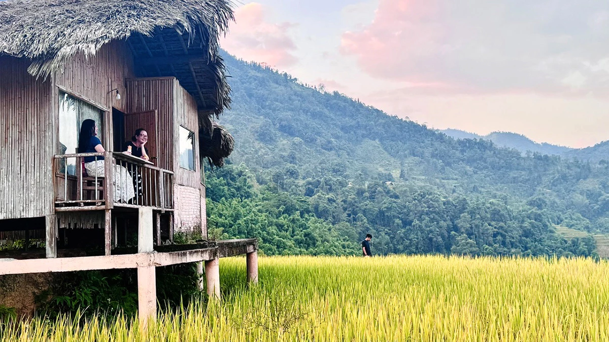 Từ những bungalow nép mình bên triền ruộng, chỉ cần đưa mắt ra xa là bắt gặp cả một mùa vàng óng ả dường như giúp chúng ta quên đi những phiền muội trong cuộc sống.