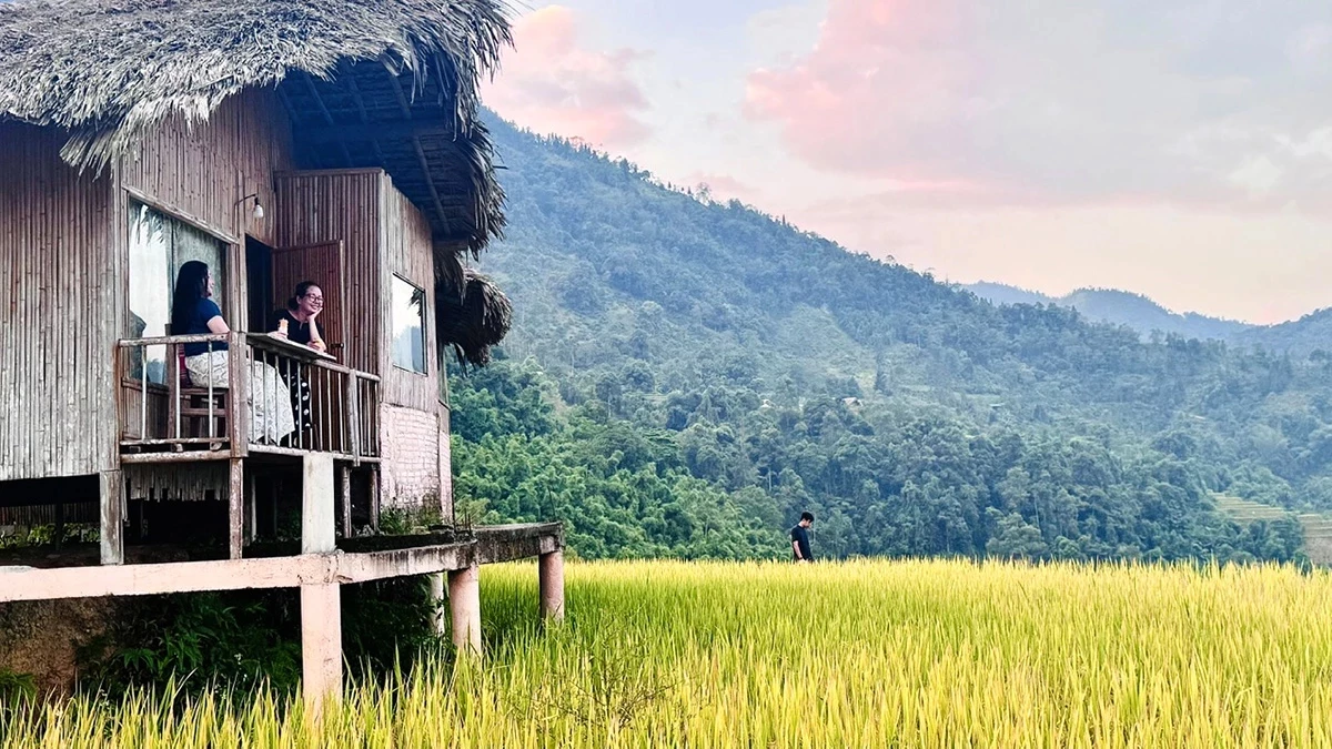 From bungalows nestled along the terraced slopes, a glance into the distance reveals a sea of shimmering golden rice fields, offering a welcome escape from the worries and pressures of everyday life.