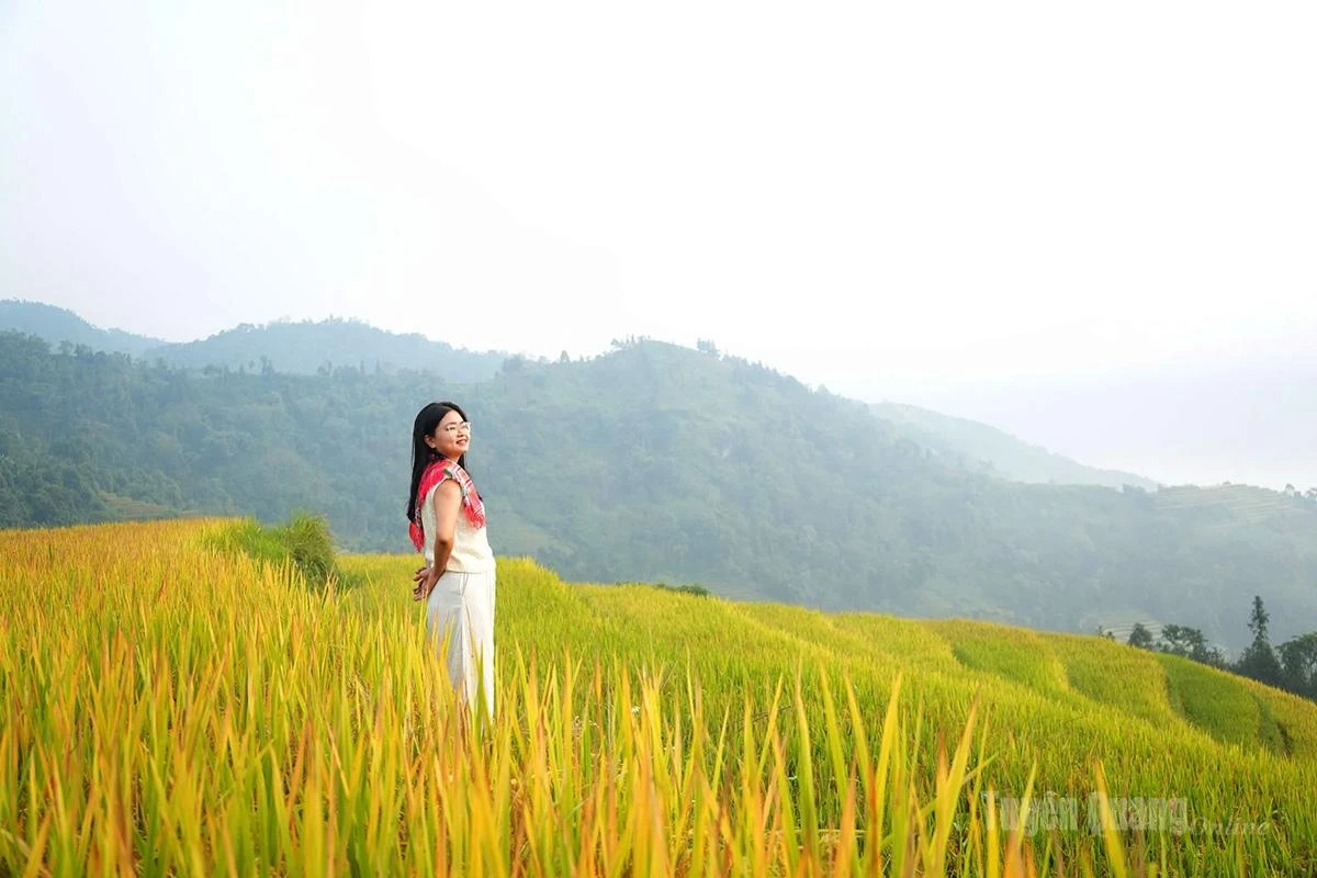 A gentle moment amid the terraced fields as the rice ripens.