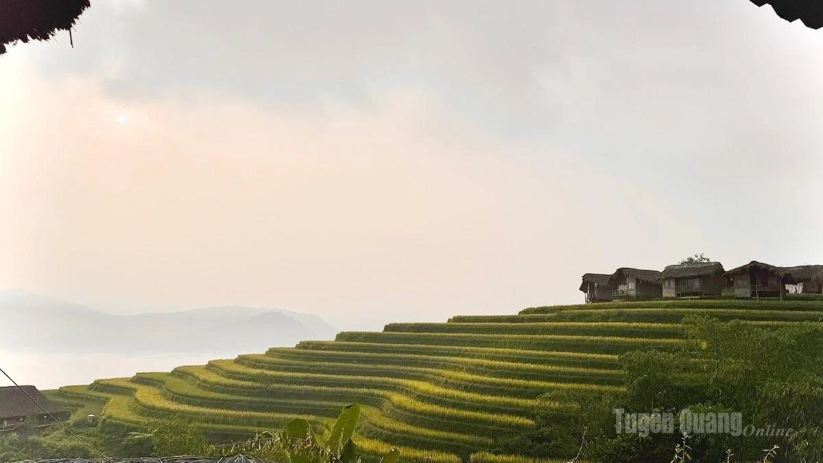 Early morning in Nam Hong, as mist still lingers over the mountain slopes, the village awakens to the tranquillity and gentle beauty of a new day.