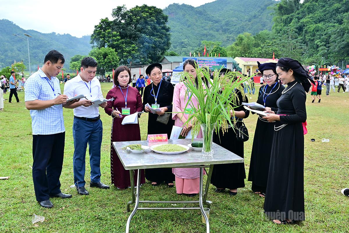 Các đội thuyết mình trước ban giám khảo.