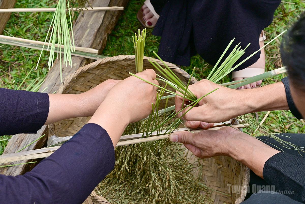 Tuốt lúa theo kiểu kẹp que.