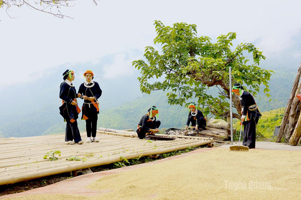 Vẻ đẹp trong lao động.