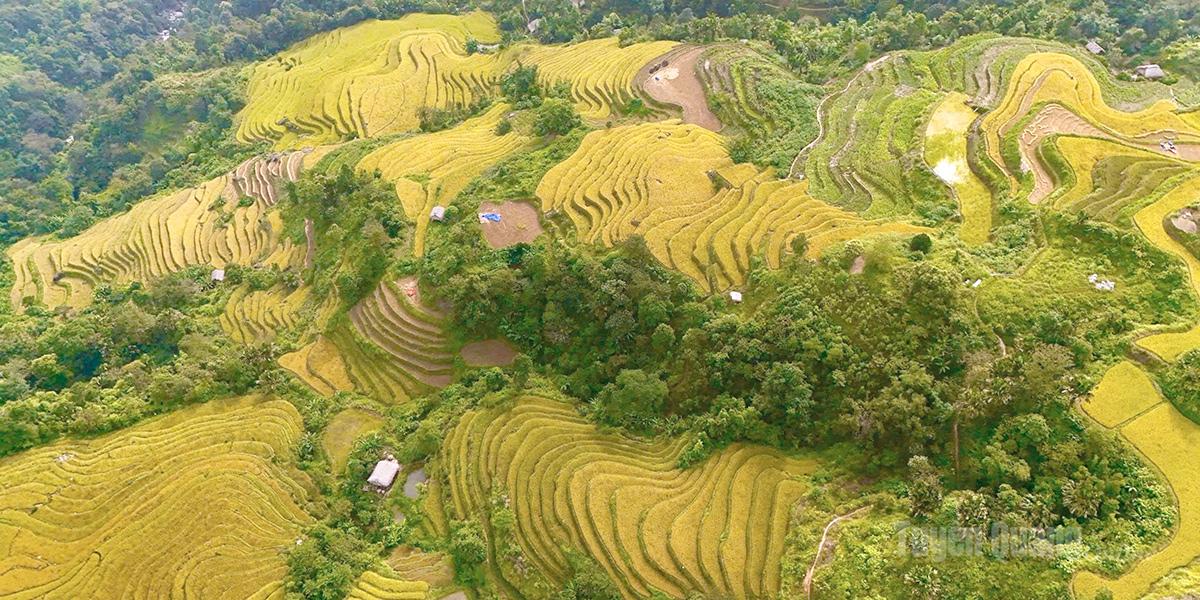 (Không chú thích).